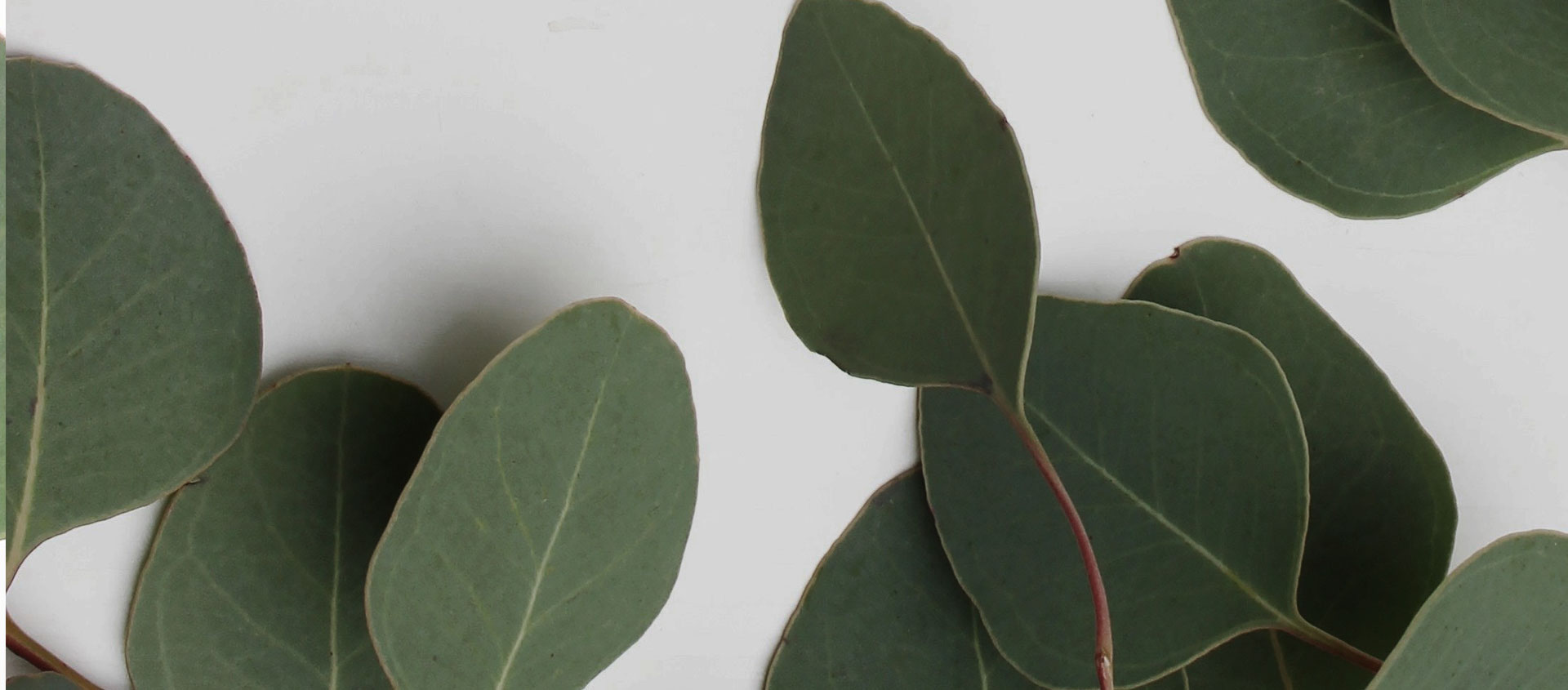 Взыскание ущерба от экологических правонарушений в Балее