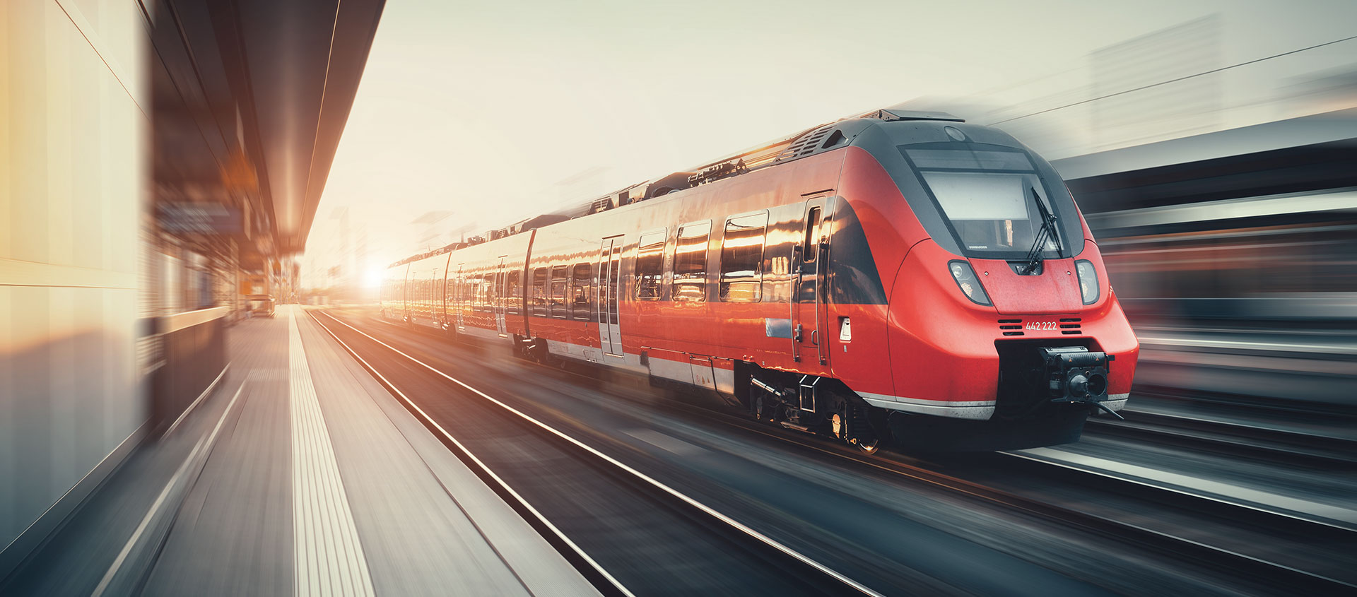 Услуги таможенного юриста в Балее