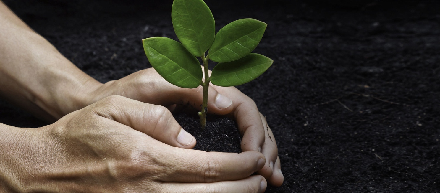 <h2>Что входит в услуги природоохранного юриста?</h2>